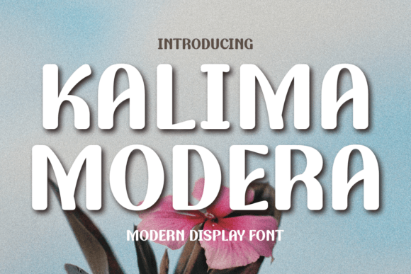 Kalima Modera Font for Business Branding